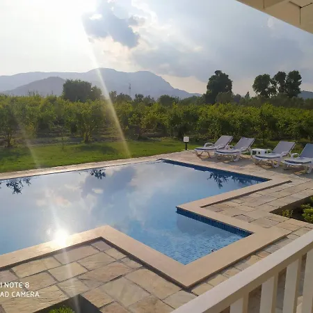 Villa In A Pomagranate Orchard Villa *